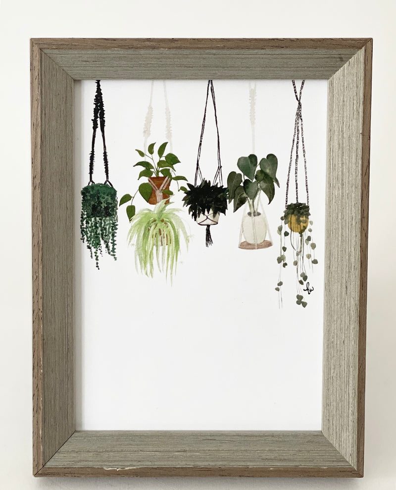 KA Framed Hanging Plants Print