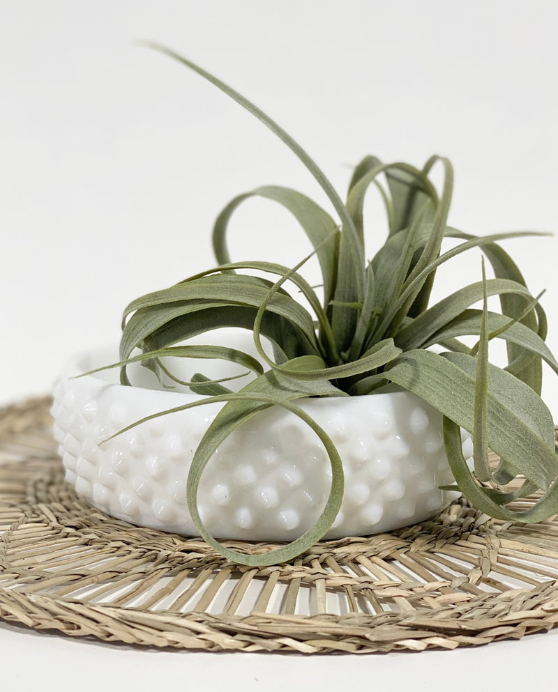 Sable Milk Glass Bowl