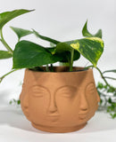 Mirage Plant Pot