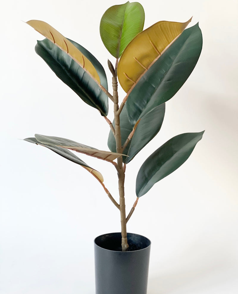 Potted Faux Ficus