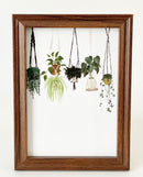 Kristen Aleida Hanging Plants Art Print