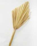 Dried Palm Leaf -Natural