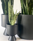David Plant Pots