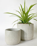 Chevron Plant Pots