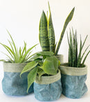 Plant Baskets -Blue