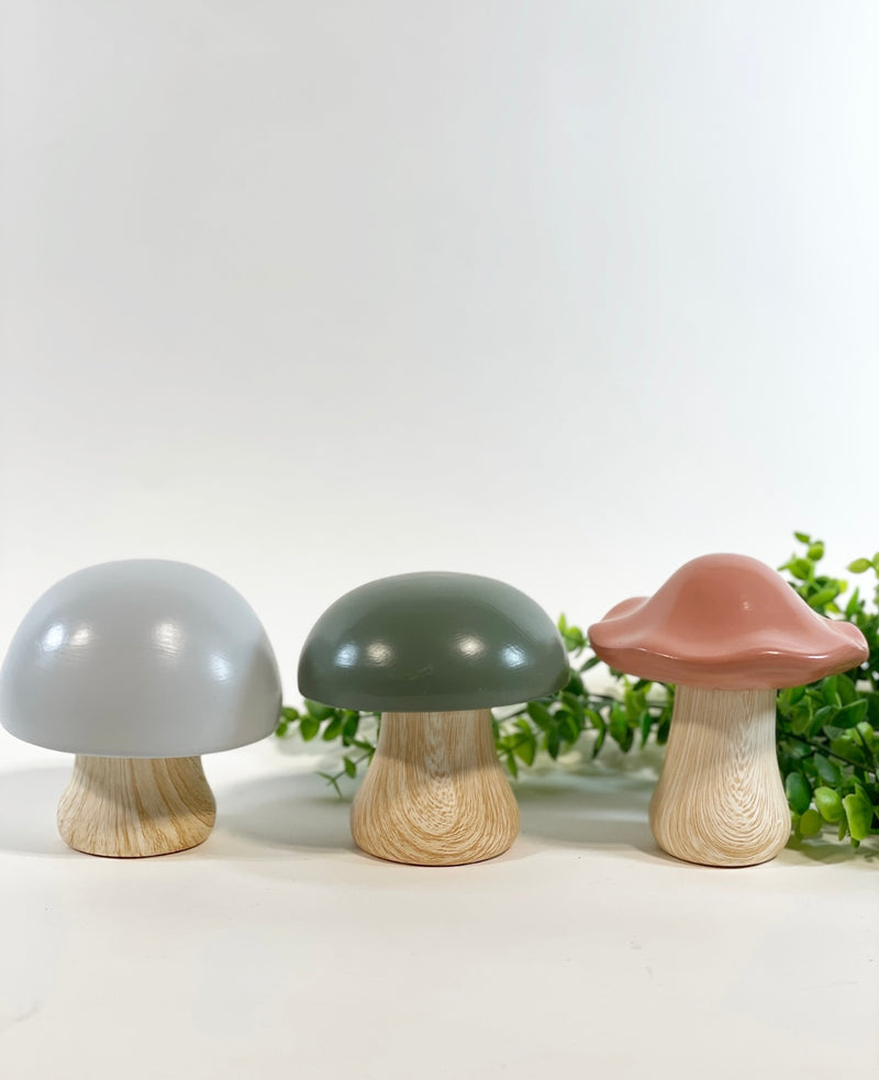 Magic Ceramic Mushrooms