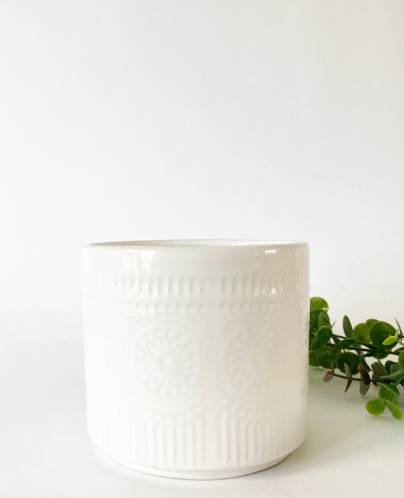Sage Pot/Vase Collection