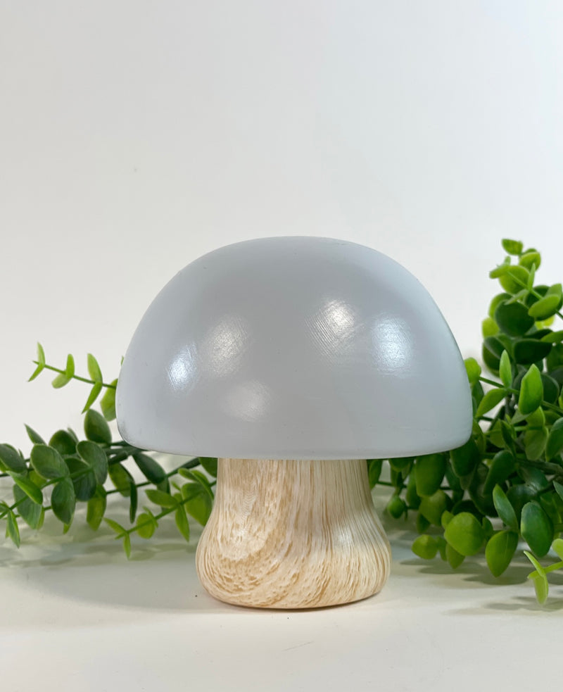 Magic Ceramic Mushrooms