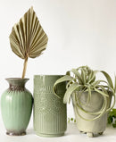 Dried Palm Leaf- Sage Spears