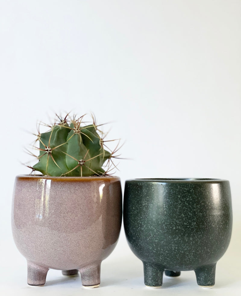Dolby Footed Plant Pots