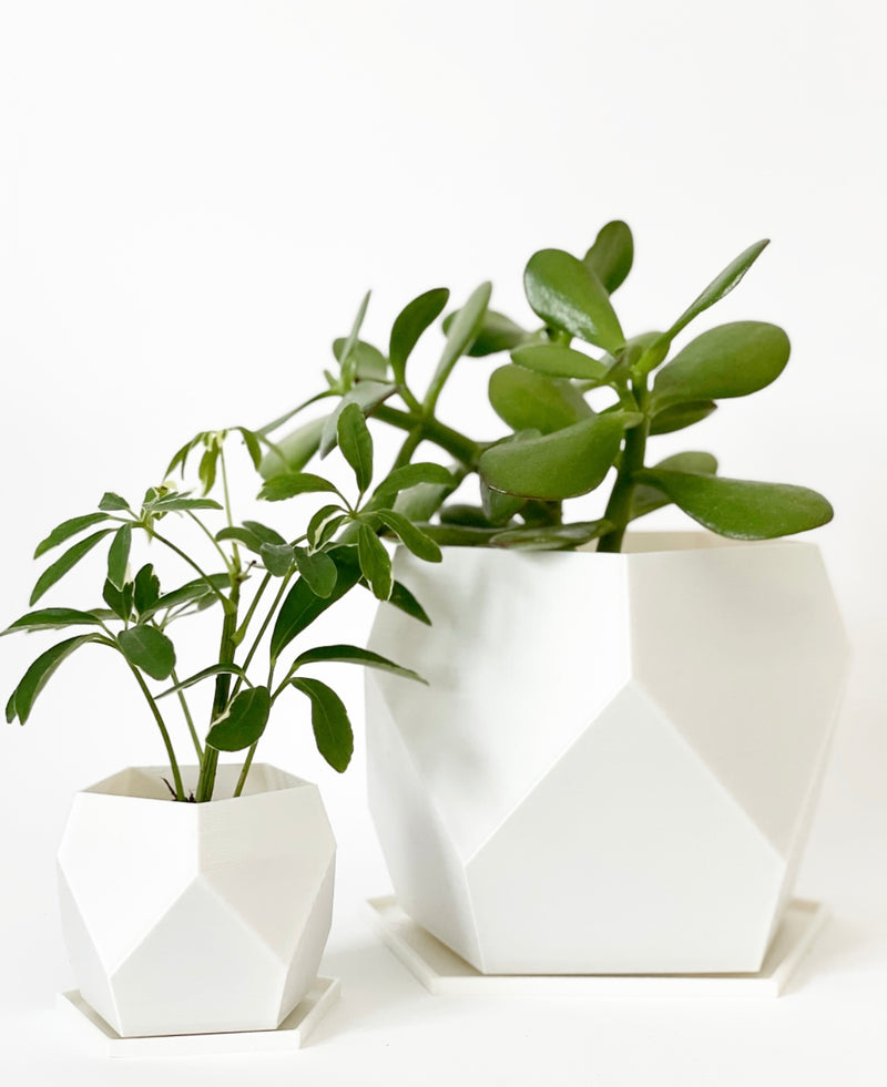 Sijo Plant Pots -Pearl White