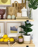 Faux Fiddle Leaf Fig