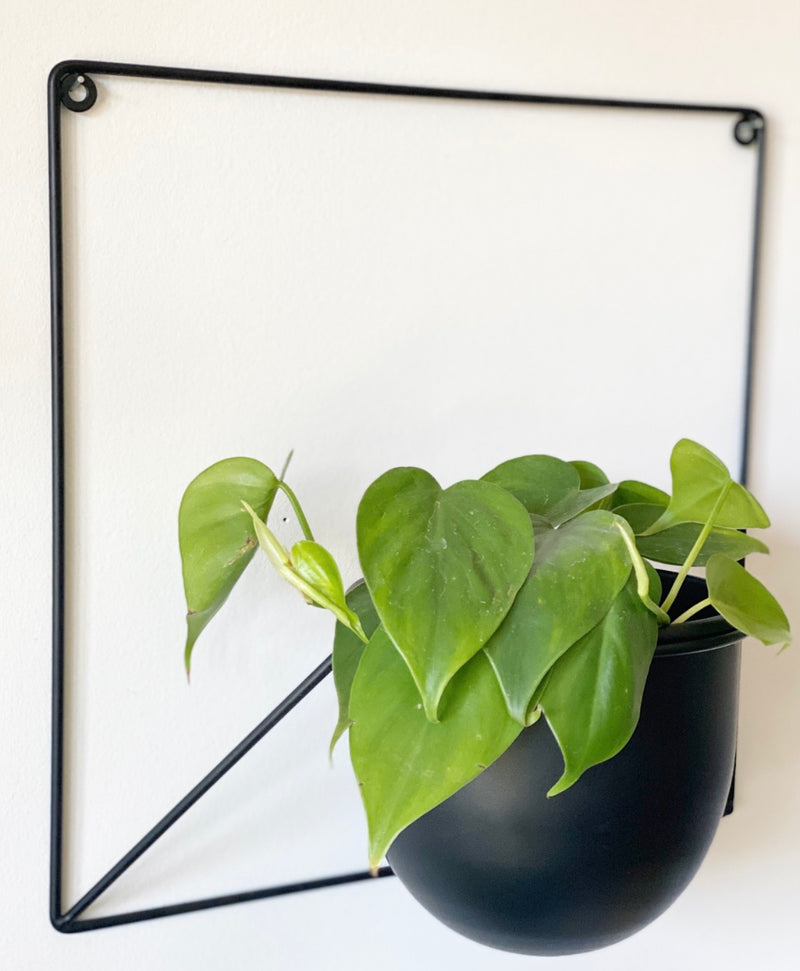 Alfred Wall Planter