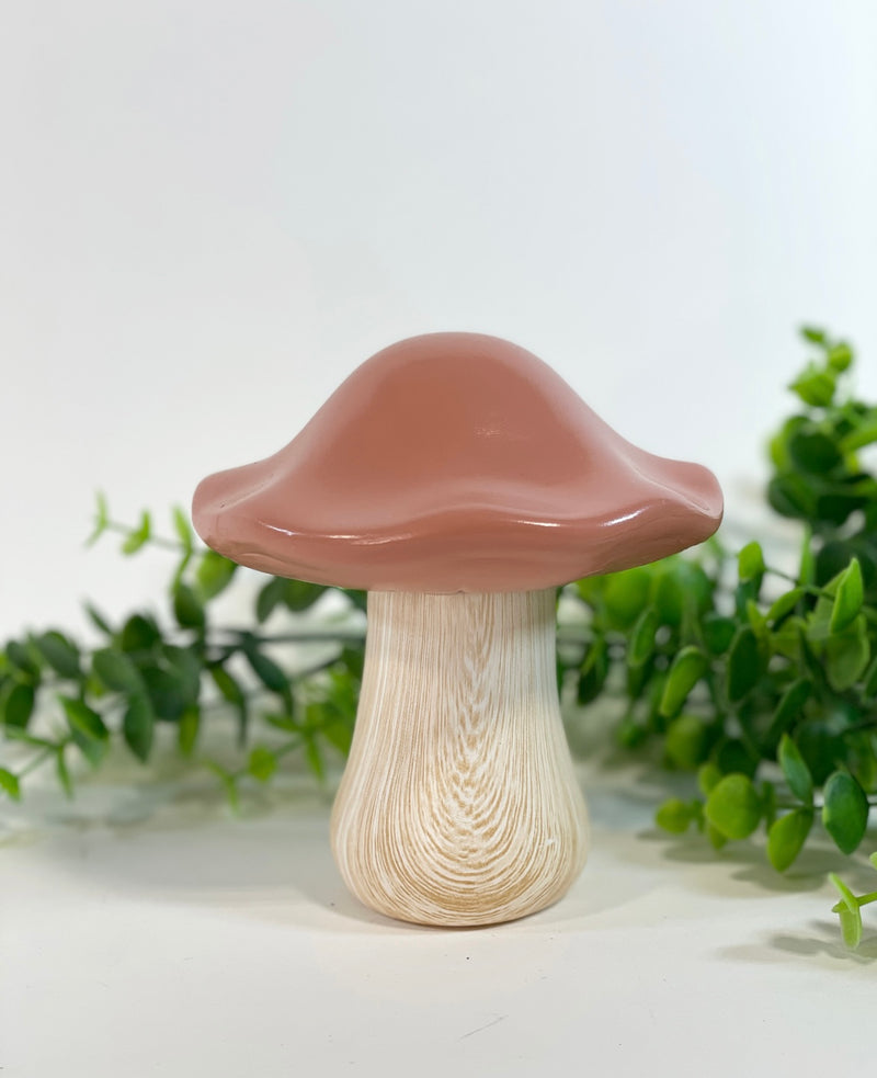 Magic Ceramic Mushrooms