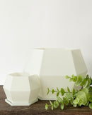 Sijo Plant Pot -Glow in the Dark