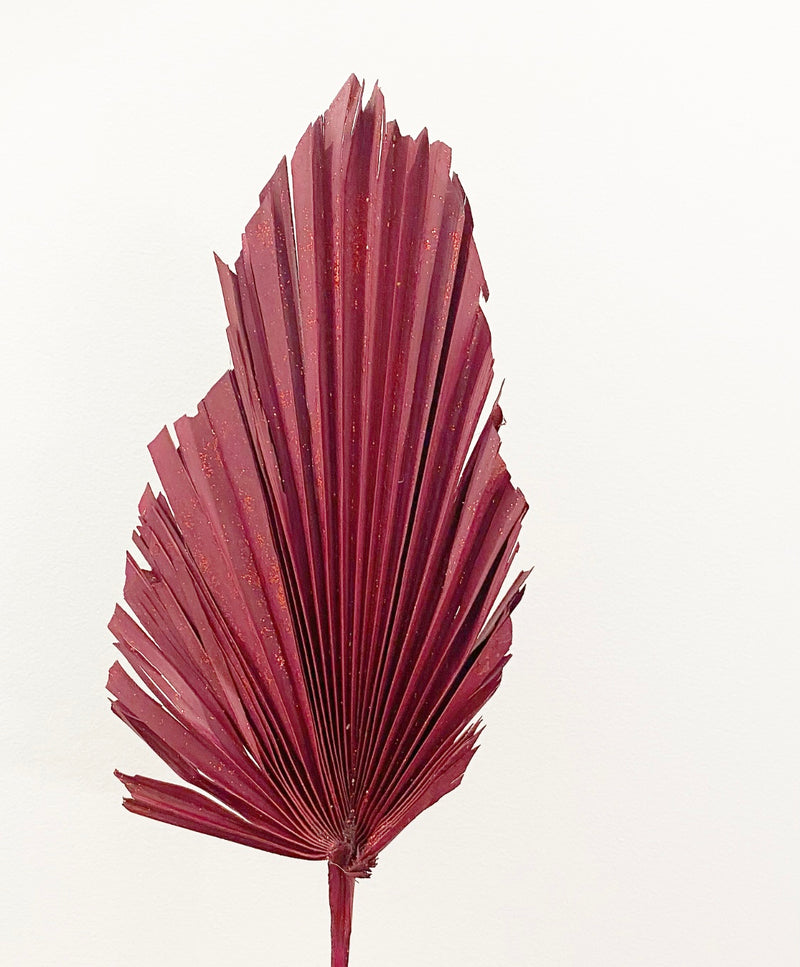 Dried Palm Leaf -Red