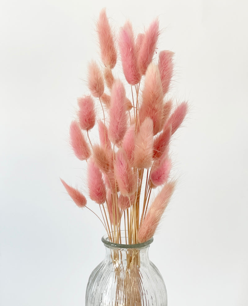 Bunny Tail Bunches -Pink