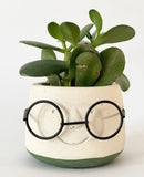 Specs Plant Pots