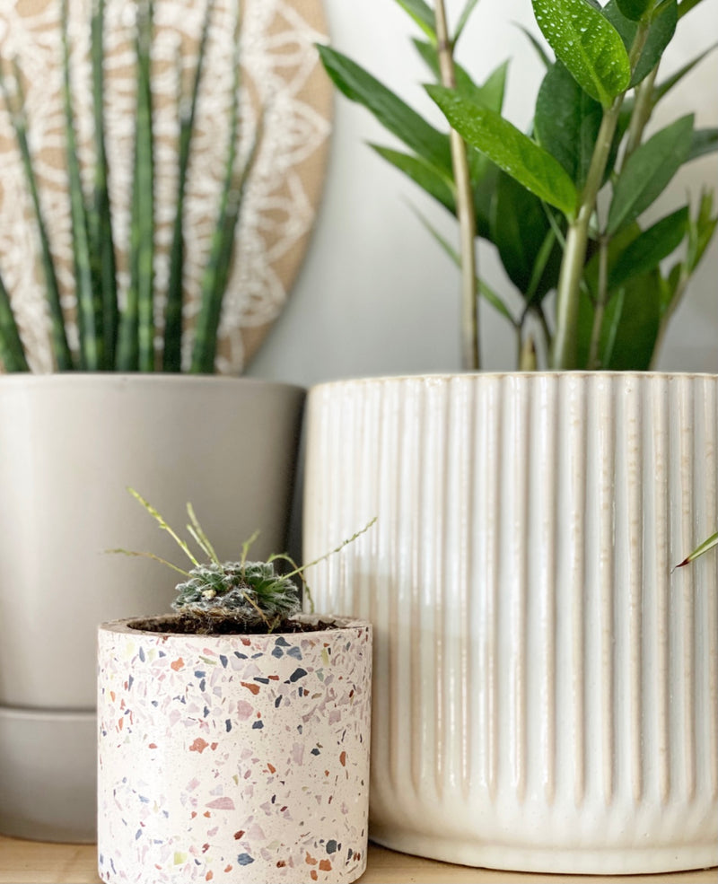 Terrazzo Plant Pots