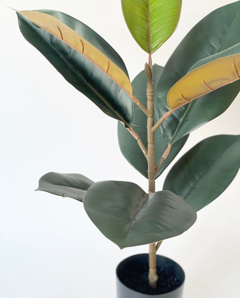 Potted Faux Ficus