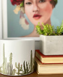 Cacti Pots