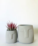 Randi Plant Pots