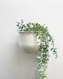 Virginia Wall Planters -White