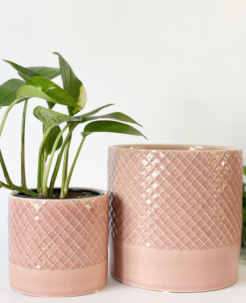 Criss Plant Pot -Pink