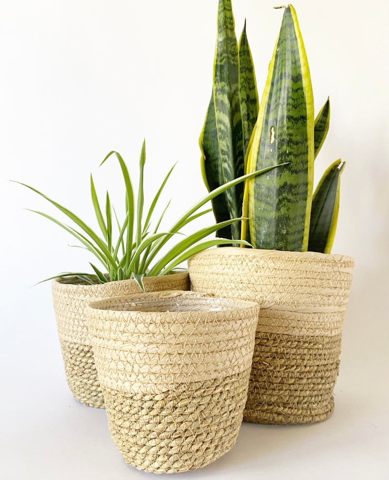 Natural Grass Lined Baskets S/3