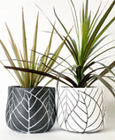 Embossed Leaf Pots