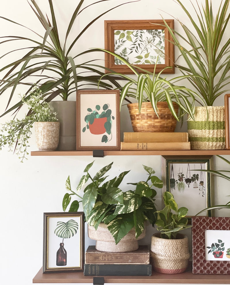 Bernard Low Planter