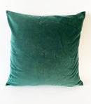 Velvet Cushion