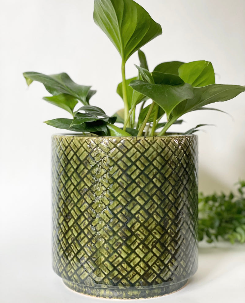 Mavis Plant Pot