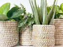 Tejida Basket Planter