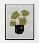 Peperomia Art Print