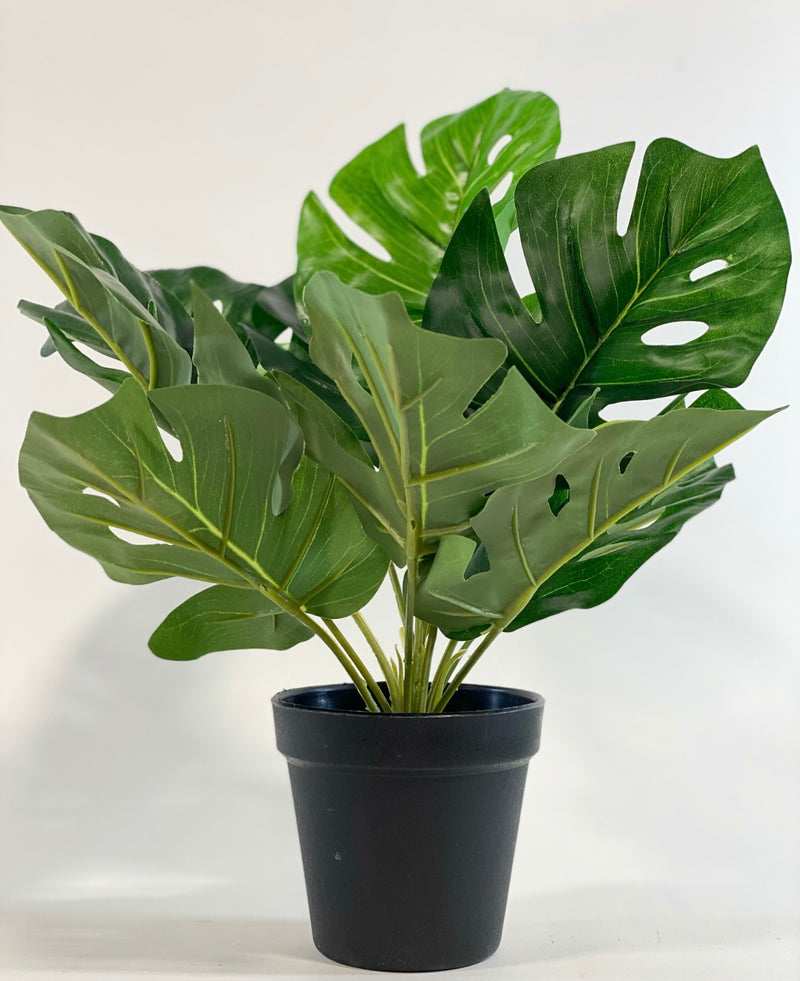 Faux Potted Monstera