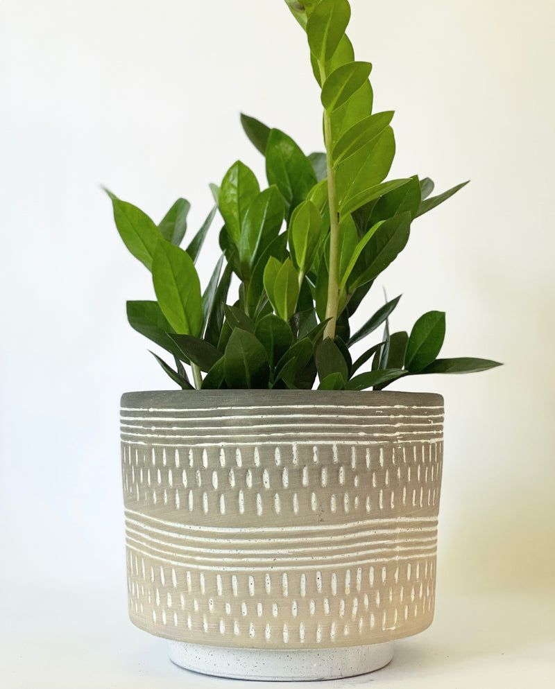 Devlin Plant Pot