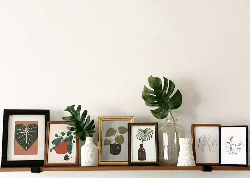Philodendron Art Print