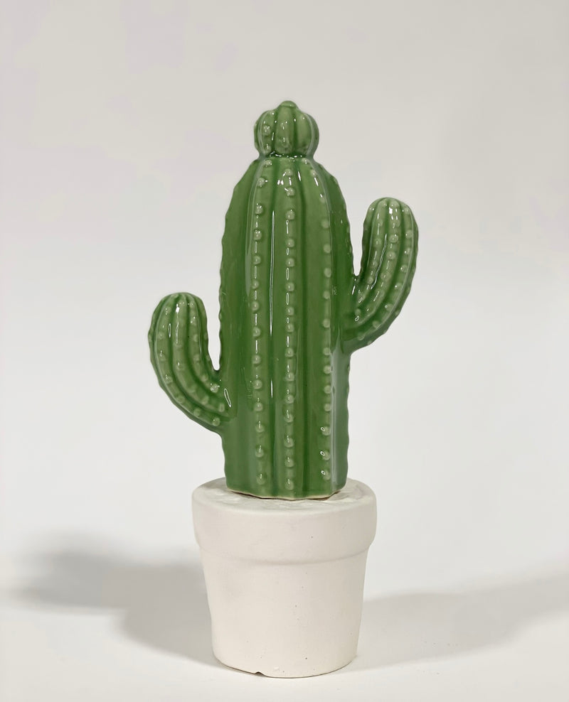 Cindy Ceramic Cactus