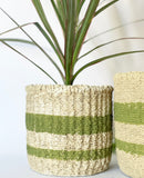 Juno Plant Pots