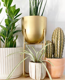 Leela Plant Pot