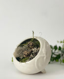 Pottery Pod Collection