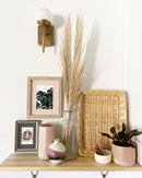 Kristen Aleida Monstera Art Prints