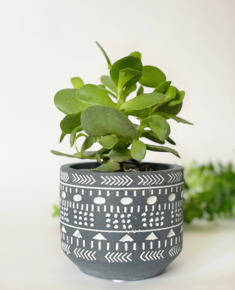 Ganon Plant Pot