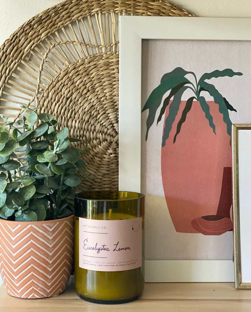 Chevy Potted Eucalyptus