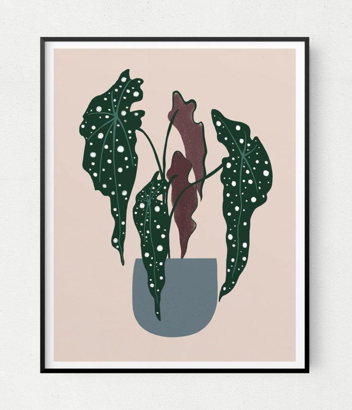 Polka Dot Begonia Art Print