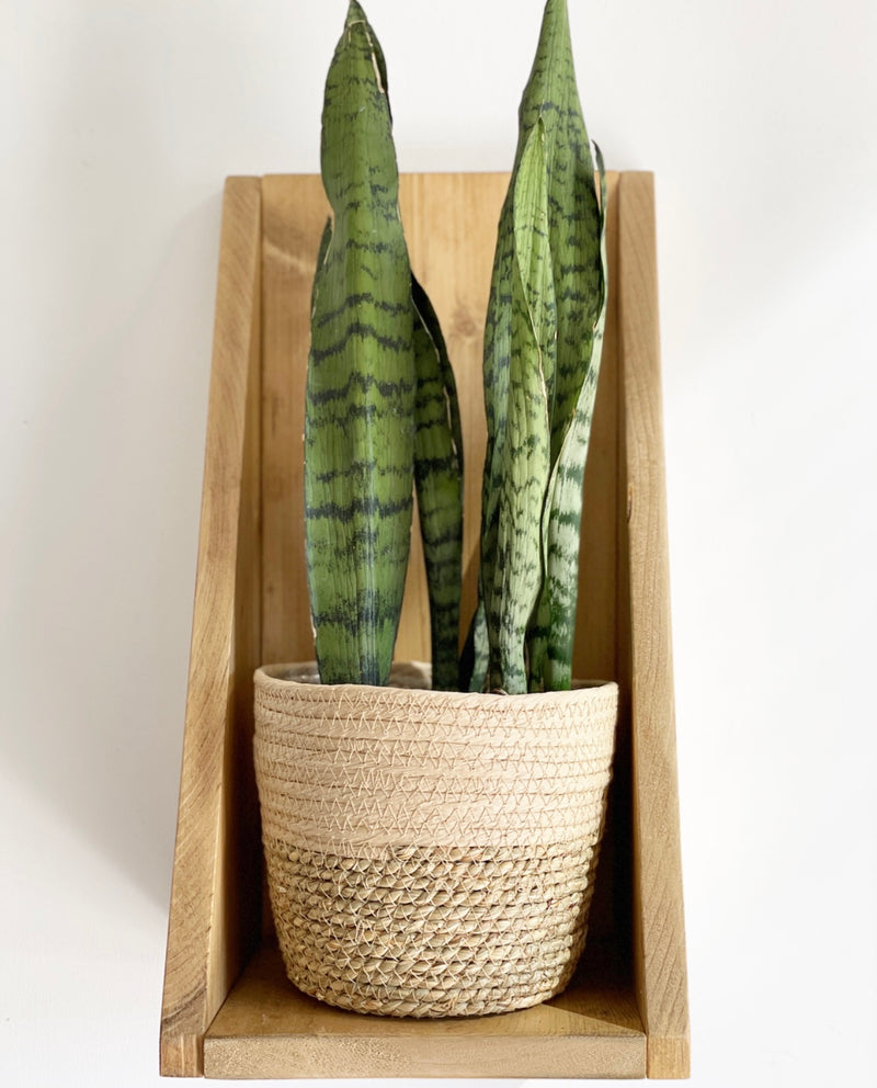 Natural Grass Lined Baskets S/3