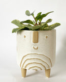 Larry Plant Pot