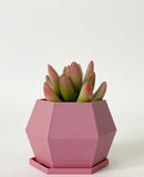 Sijo Plant Pot -Mini Hexagon