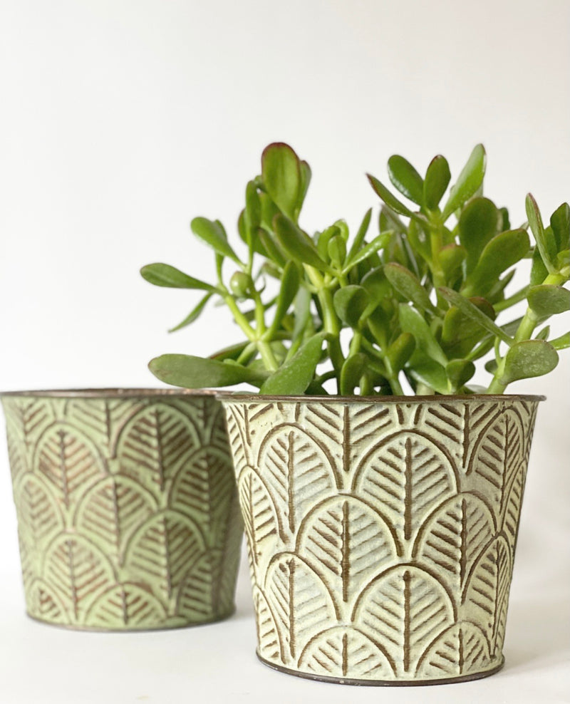 Embossed Metal Planters